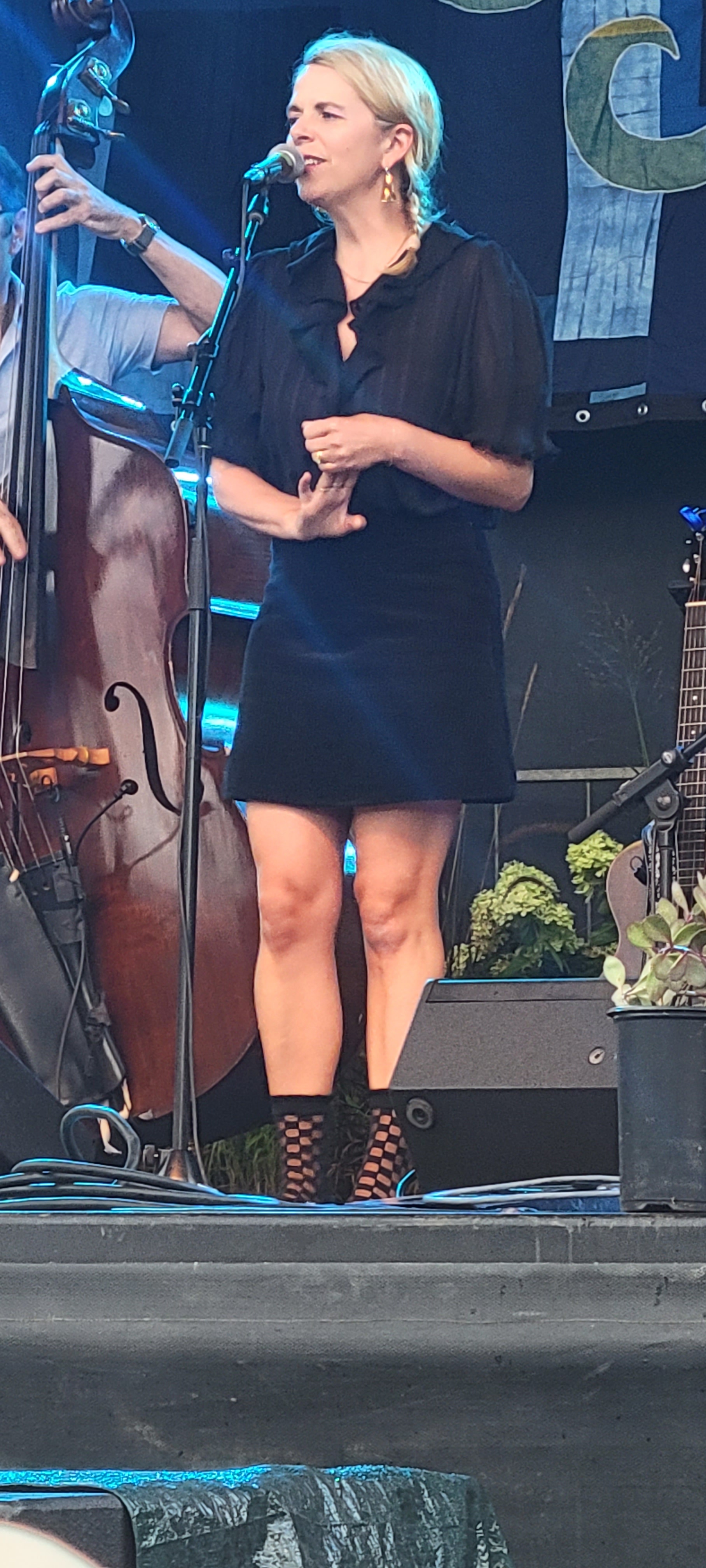 CrookedStill2024-08-18GreenMountainBluegrassAndRootsFestivalManchesterVT (6).jpg
